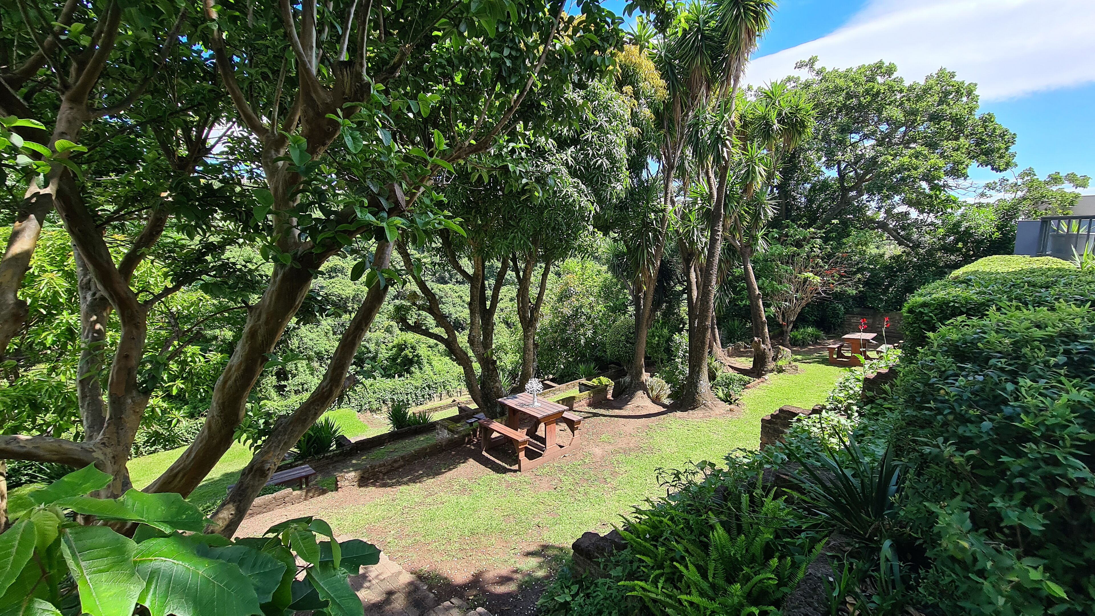 Un jardí exuberant amb una banca de fusta i una taula petita, envoltat de diferents arbres i plantes.