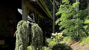 Una struttura in legno rustica con tetto spiovente, immersa nel verde e circondata da diverse piante.
