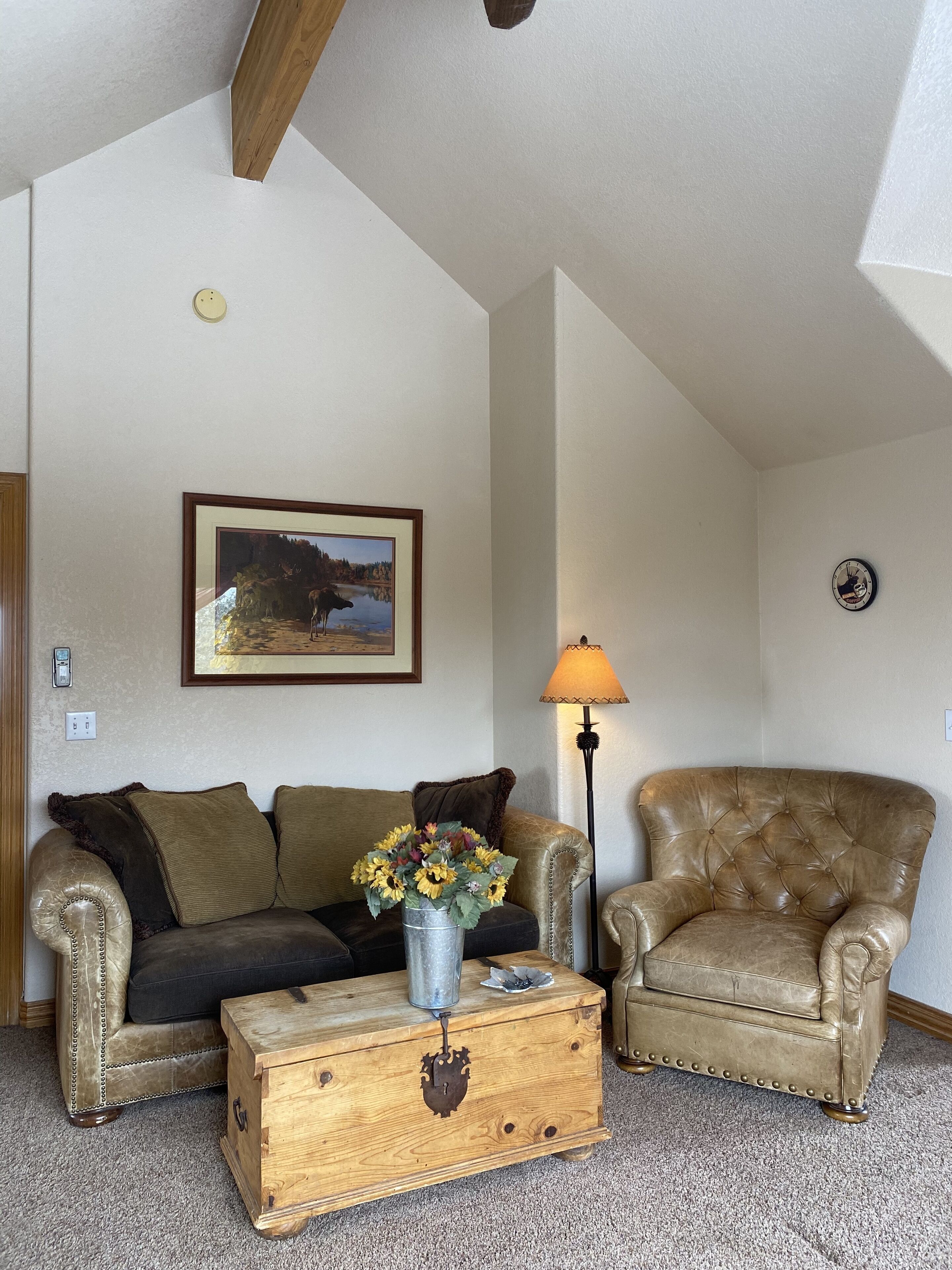 Colorado Mountain Lodge with New Hot Tub