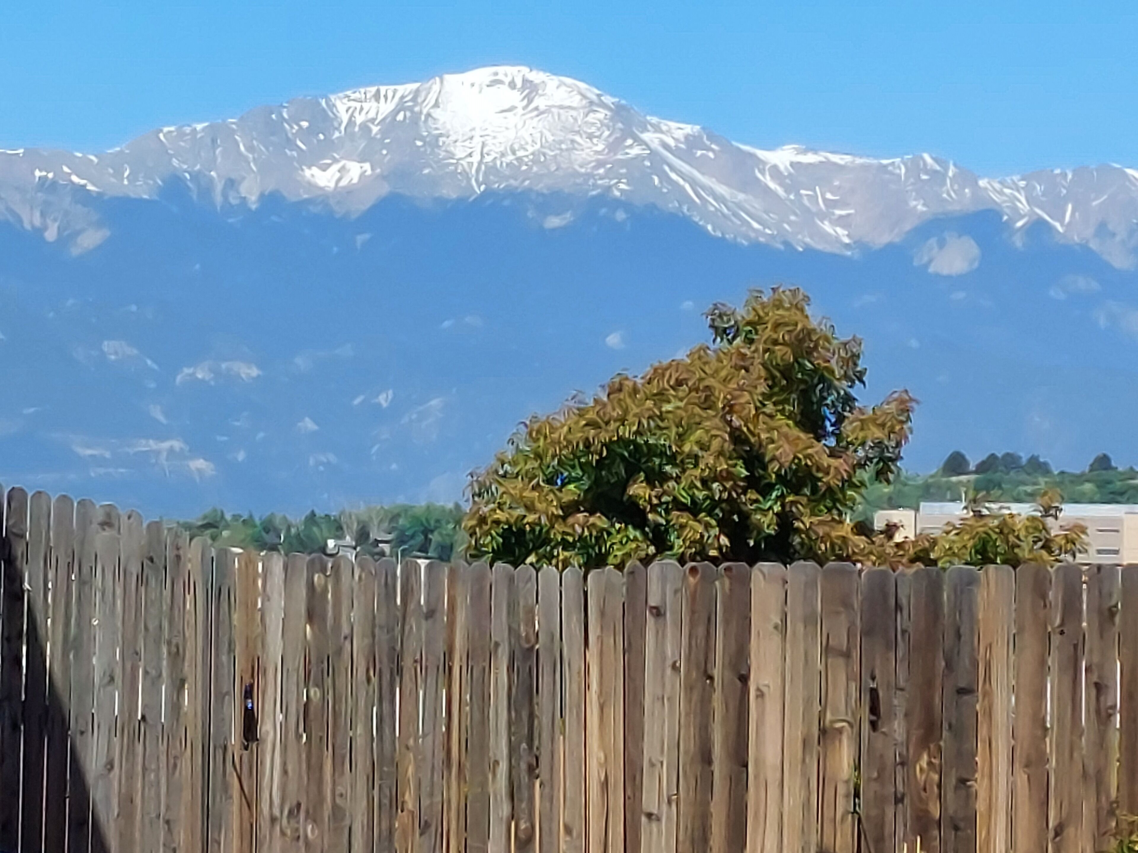 A wooden fence with a tree in the foreground and a snow-capped mountain in the background.
