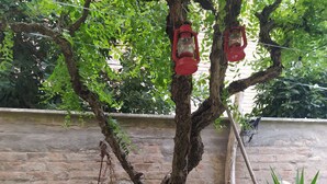 Ein Tisch mit einer grün-blättrigen Tischdecke, ein Metallstuhl und zwei rote Laternen, die an einem Baum hängen.