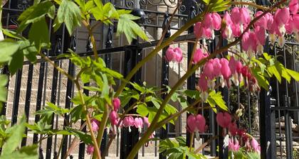 Wrigleyville Inn - Unit 3