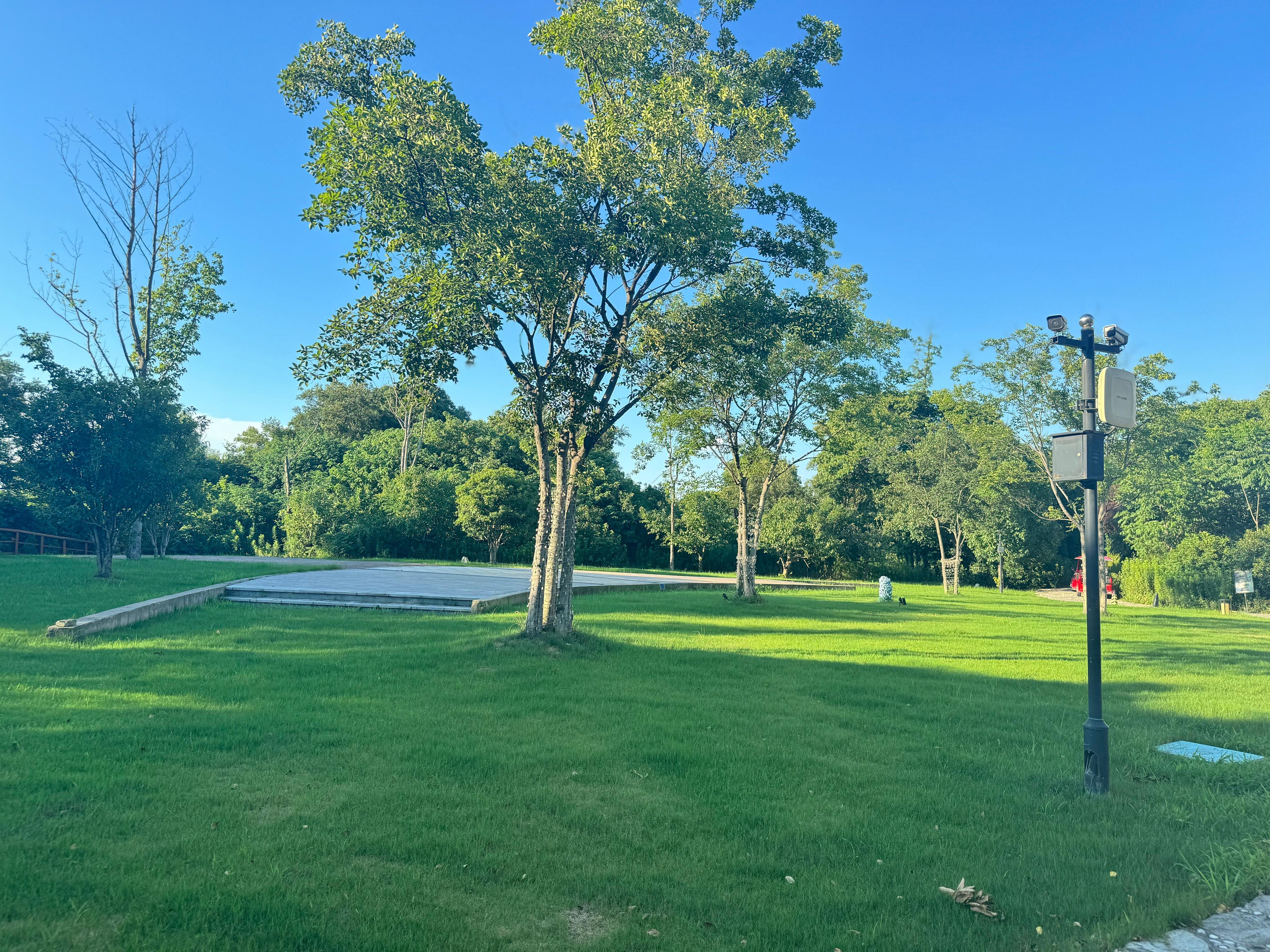 A park with a paved area, trees, and a utility pole with equipment.