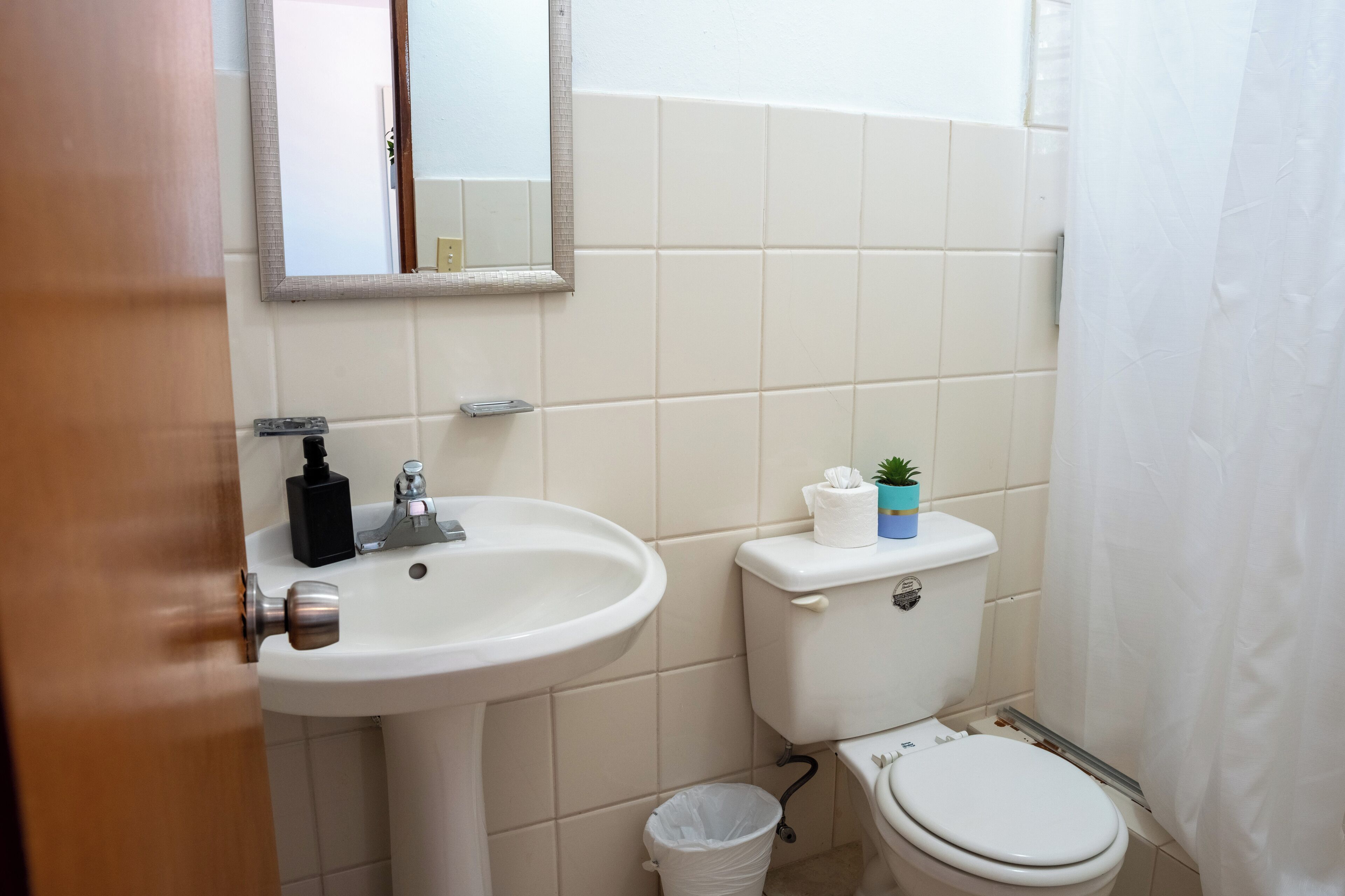 A bathroom with a white sink, toilet, and a small trash bin.