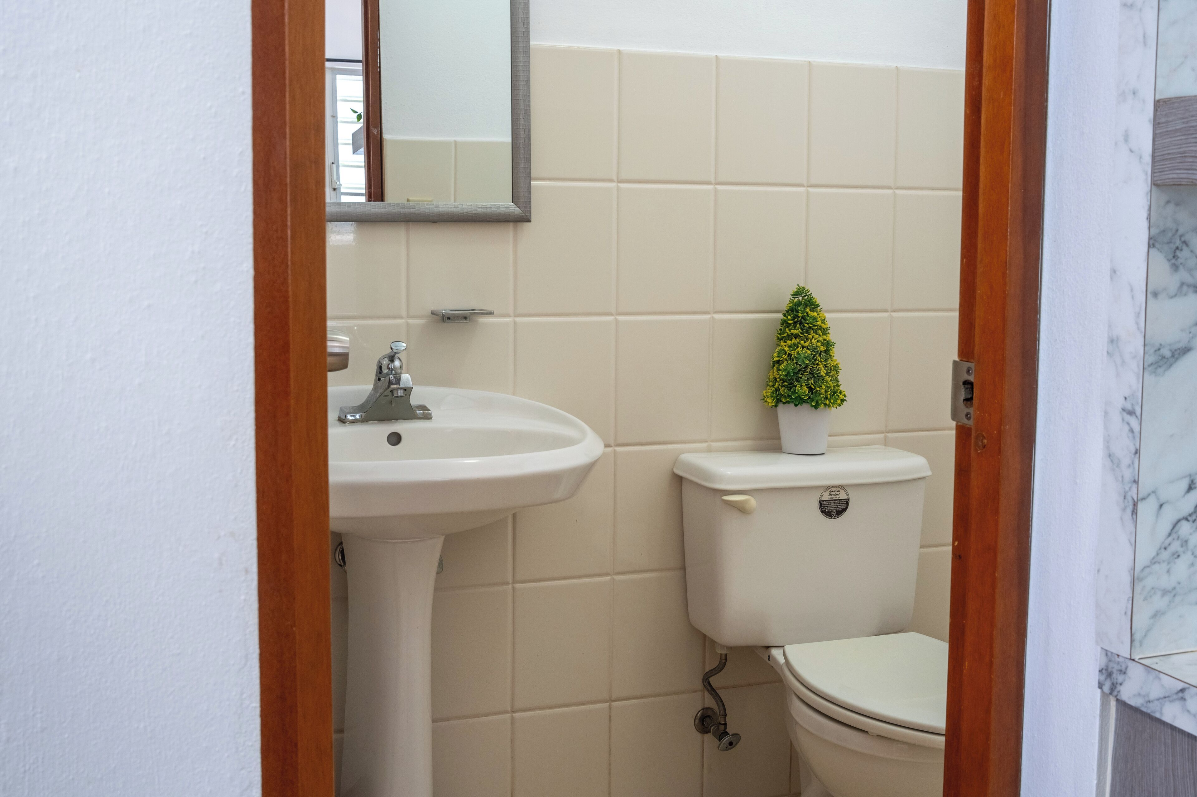 Un baño con un lavamanos blanco, un inodoro y una pequeña planta en el tanque.