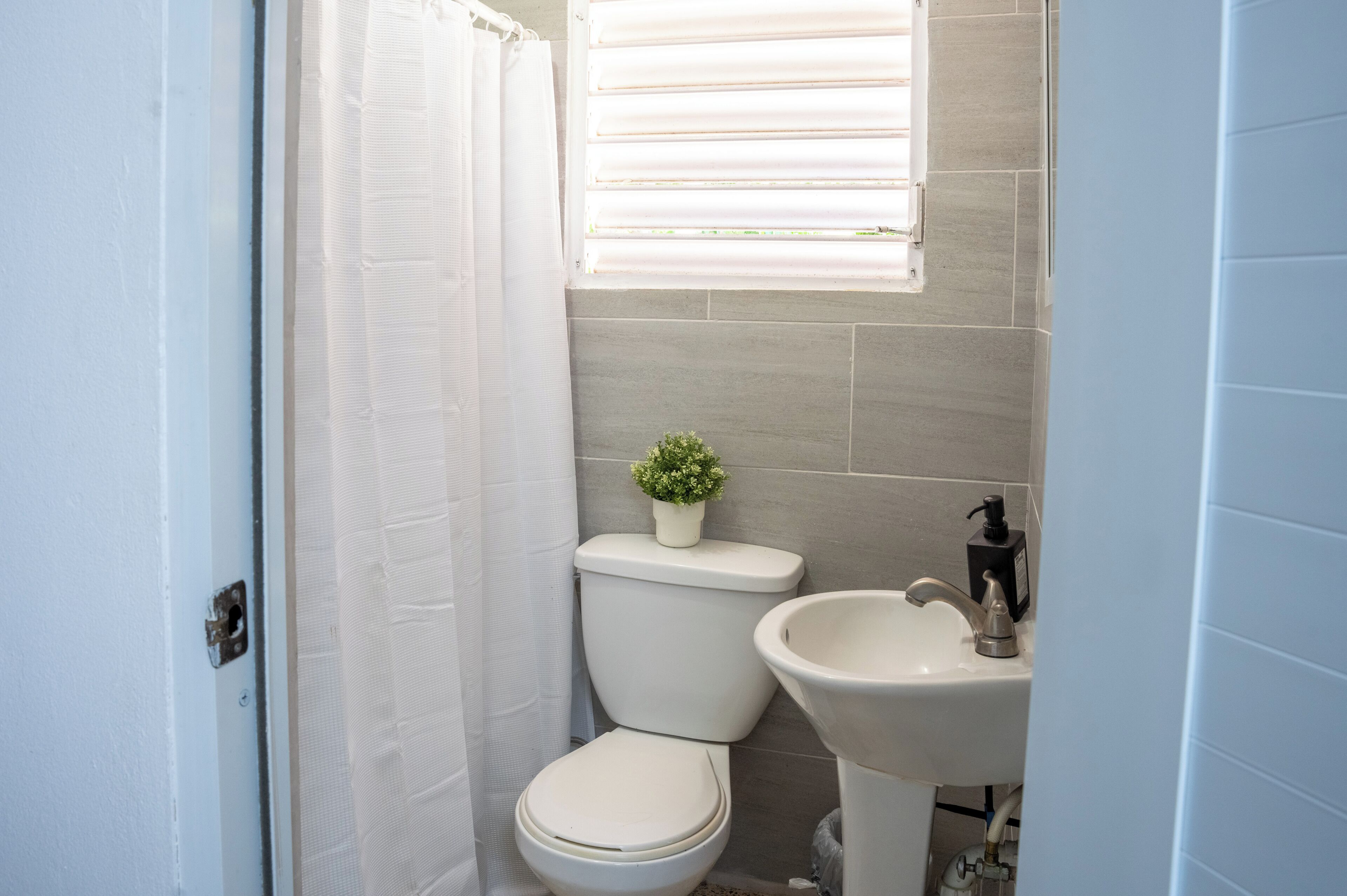 ファミリー キャビン | バスルーム | シャワー、レインフォールシャワー、タオル、トイレットペーパー