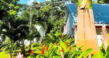 Grenat cottage with private pool 900m from Grande Anse beach