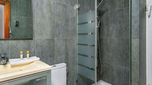 Shower, hair dryer, bidet, towels