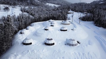 Surrounded by snow-covered coniferous trees, this winter wonderland offers ski access via a nearby lift.