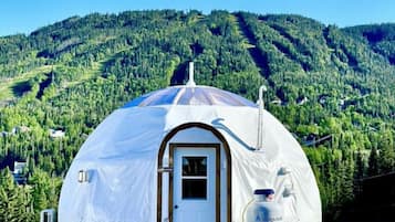 Deluxe Tent | Individually furnished, free WiFi, bed sheets