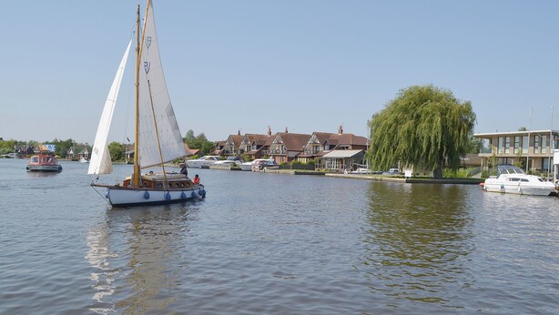 Ein Segelboot auf einem ruhigen Fluss, im Hintergrund Häuser und ein Baum.