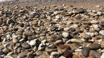 Camastros y toallas de playa