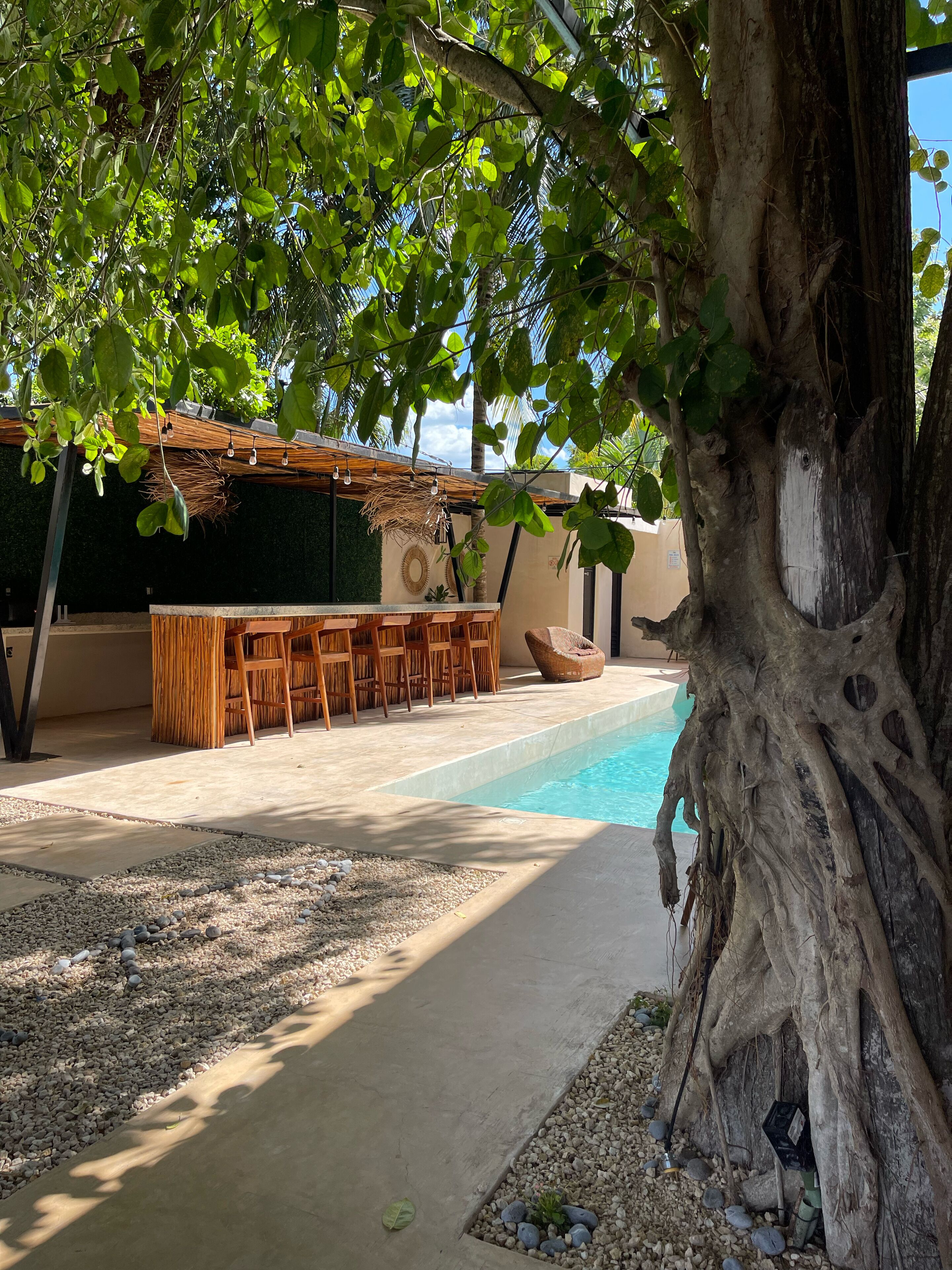 Outdoor pool, open 9:00 AM to 9:00 PM, pool loungers