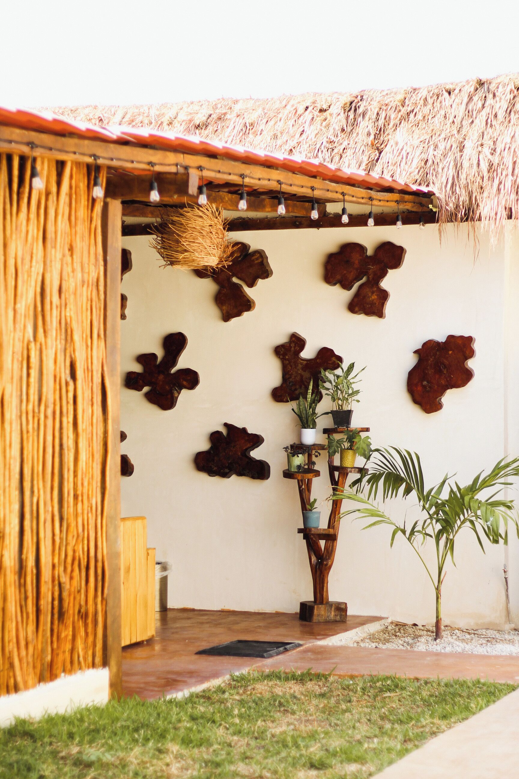 Foto - Aktun Bacalar