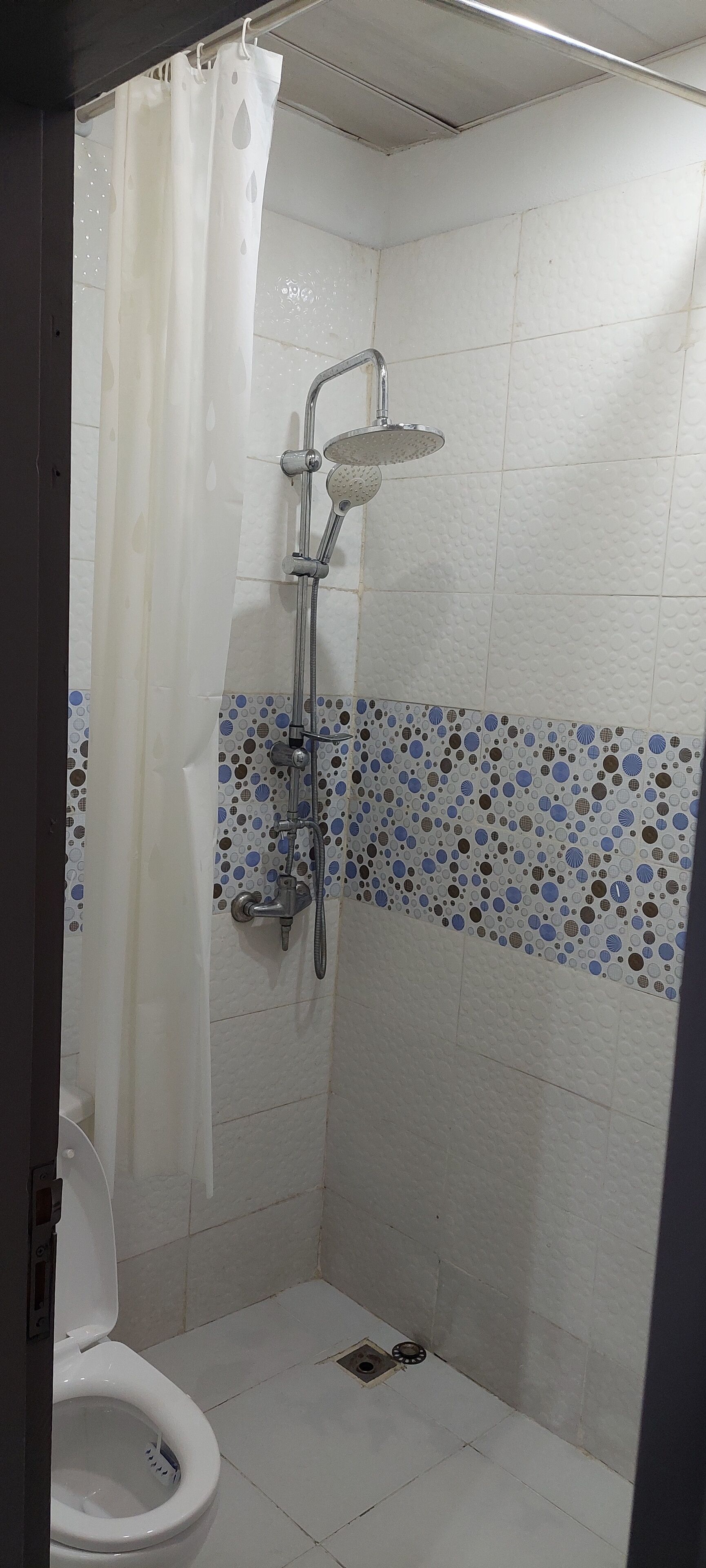 Hair dryer, towels, toilet paper