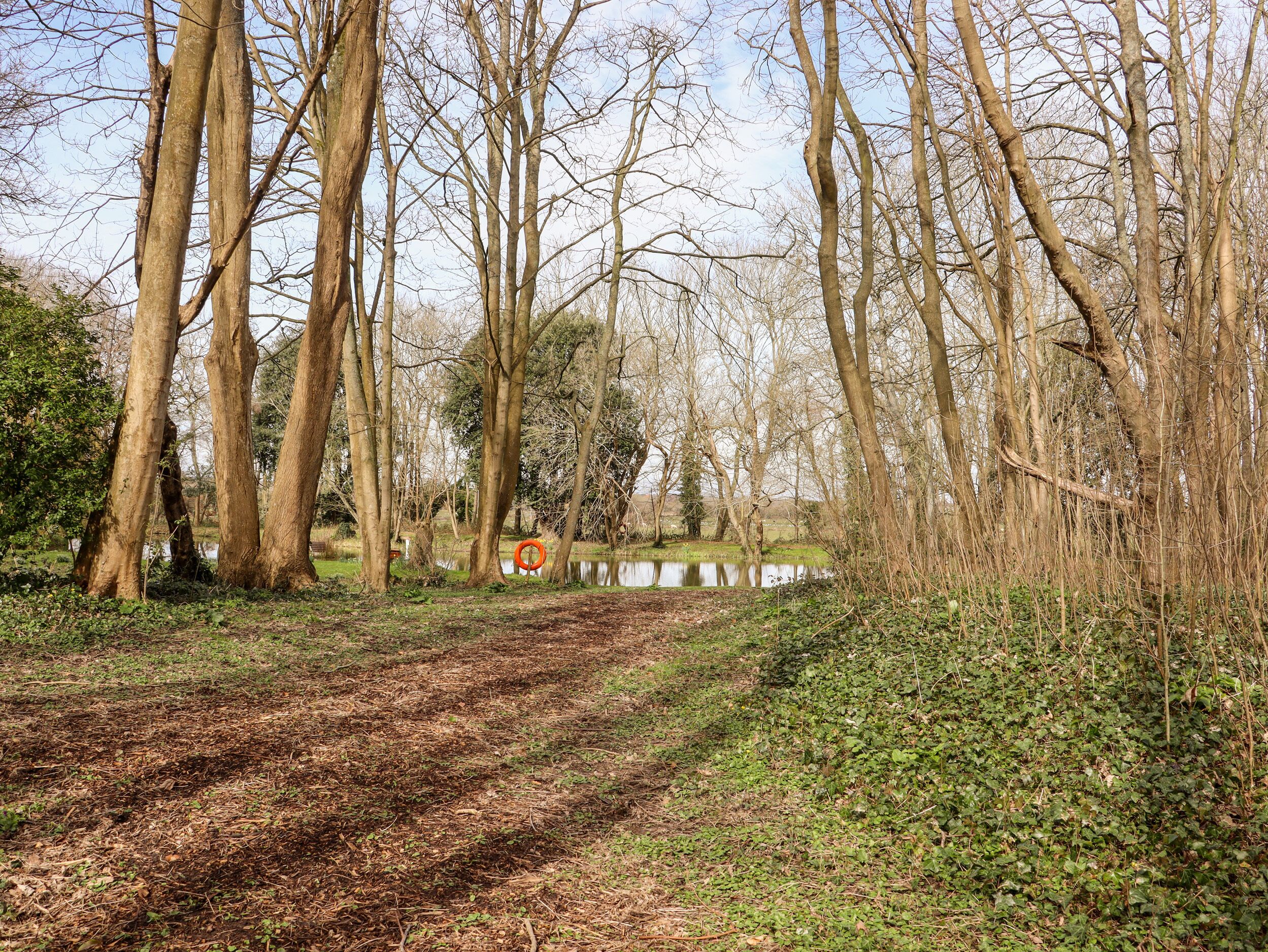 A dirt path leading through a wooded area with trees and a body of water in the background.