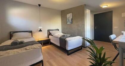 Comfortable and stylish apartment in Reilingen