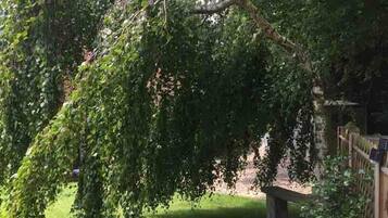 Cottage, Beberapa Tempat Tidur | Halaman properti