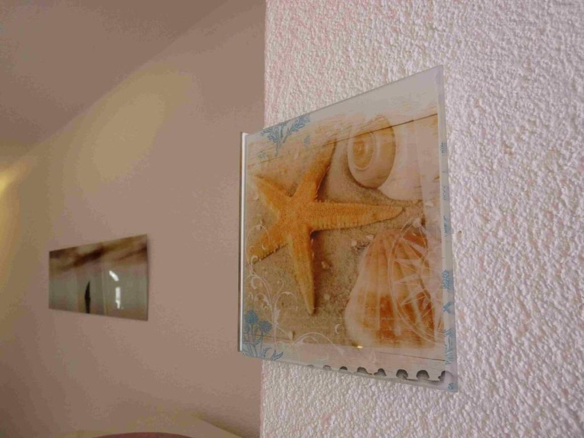 A wall with a framed artwork depicting a starfish and seashells.