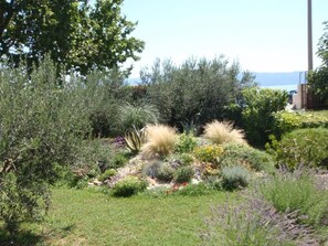 Property grounds - Studio apartment in Dugi Rat with Seaview, Balcony, Air condition, WIFI (5132-5) (Dugi Rat)