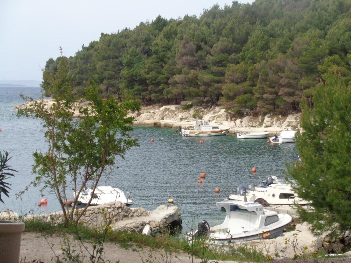 Uma marina costeira com barcos atracados, cercada por um litoral rochoso e mata densa.