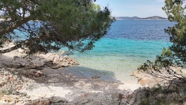 A coastal scene with clear turquoise water, rocky shore, and pine trees.