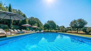 A clear blue swimming pool with lounge chairs and umbrellas, surrounded by trees. - Apartment in Medulin with Terrace, Air condition, WIFI, Washing machine (5158-2) (Medulin)