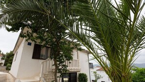 A white building with a stone staircase leading to a door, surrounded by greenery and a palm tree.