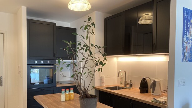 Una cocina moderna con armarios oscuros, encimera de madera, horno empotrado, fregadero y una planta en maceta.