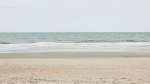 Une plage avec un rivage sablonneux et des vagues douces.