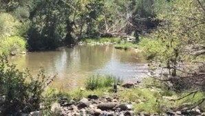 A natural landscape with a calm river, surrounded by dense greenery and trees. - Beaver Creek Oasis (Lake Montezuma)