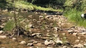 A natural stream with rocks and greenery. - Beaver Creek Oasis (Lake Montezuma)