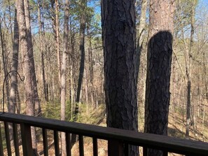 Terrain de l’hébergement 