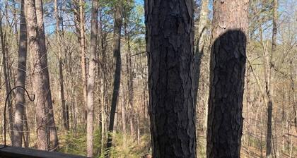 Relax at the Pine Cone Cottage