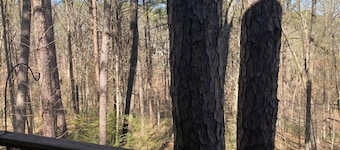 Relax at the Pine Cone Cottage