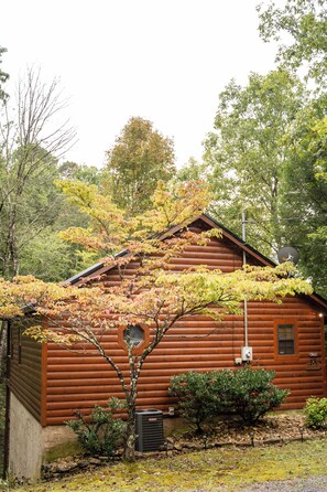 Exterior - Mountain Seclusion - COZY Cabin! 15 fifteen minutes from downtown G'Burg!! (Sevierville)