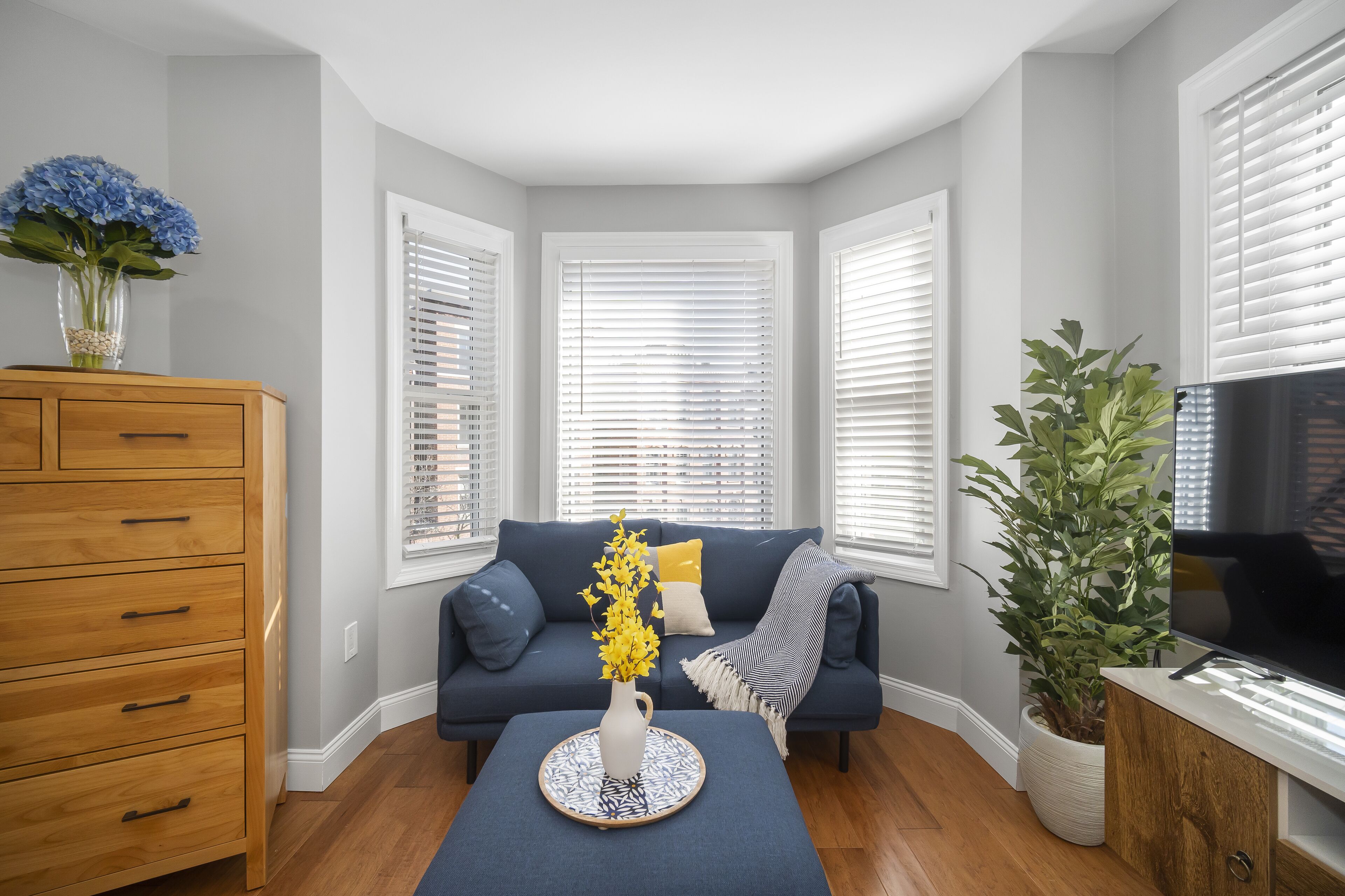 Modern North End Studio