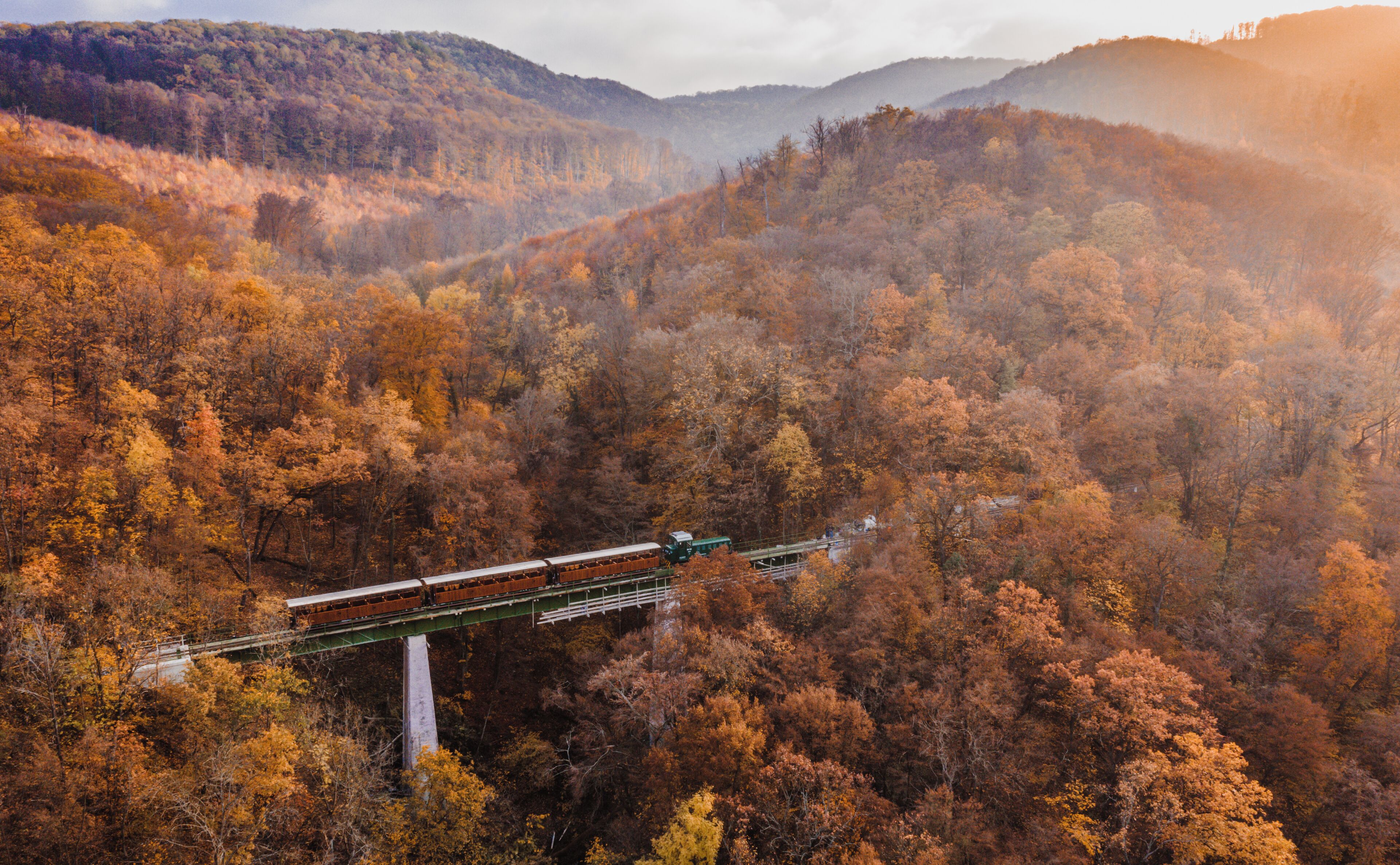 A train on a bridge over a forested valley.