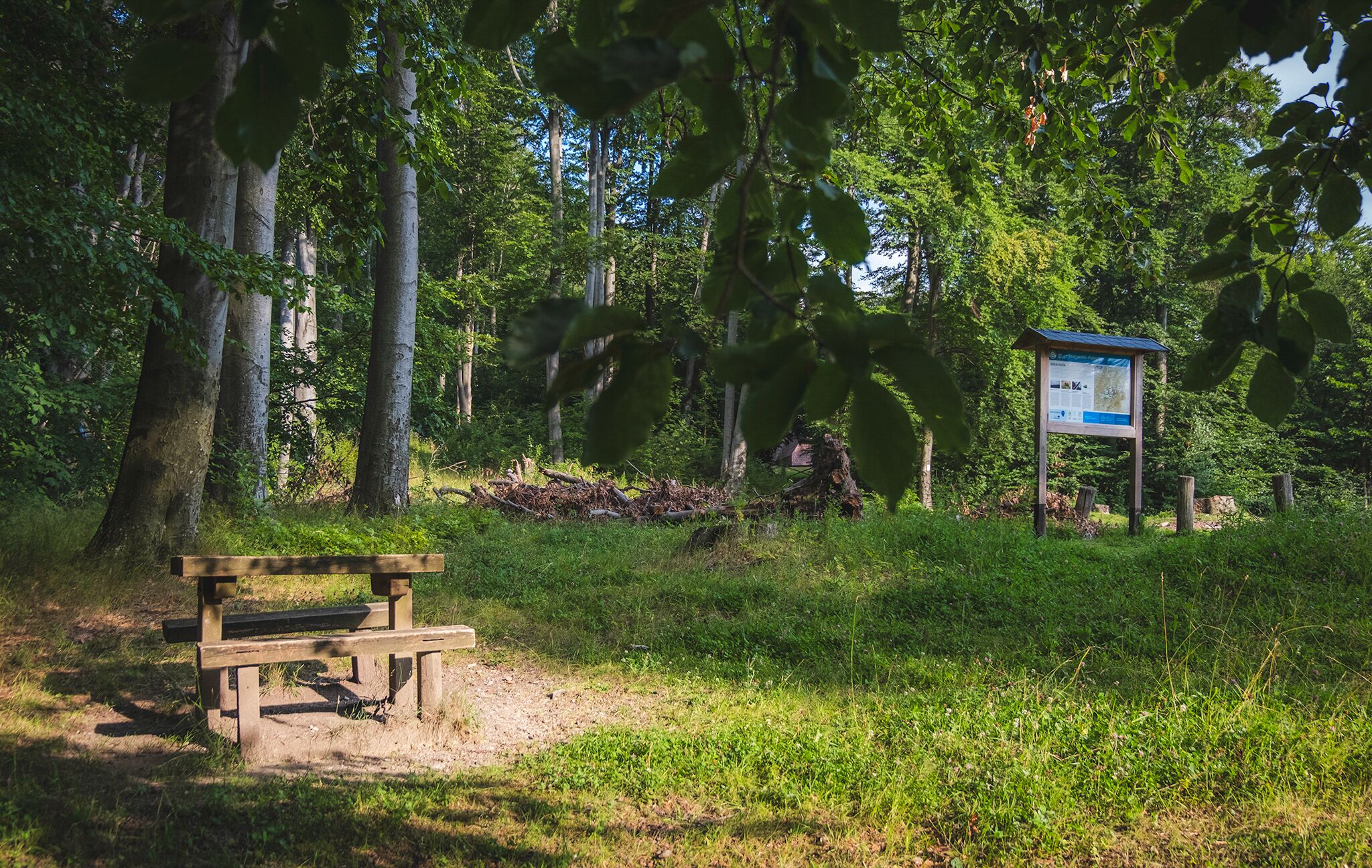 A wooden bench in a forested area with a signboard in the background.