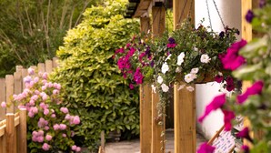 A wooden pergola with hanging flower baskets. - James' Place @ The Park (Merthyr Tydfil)