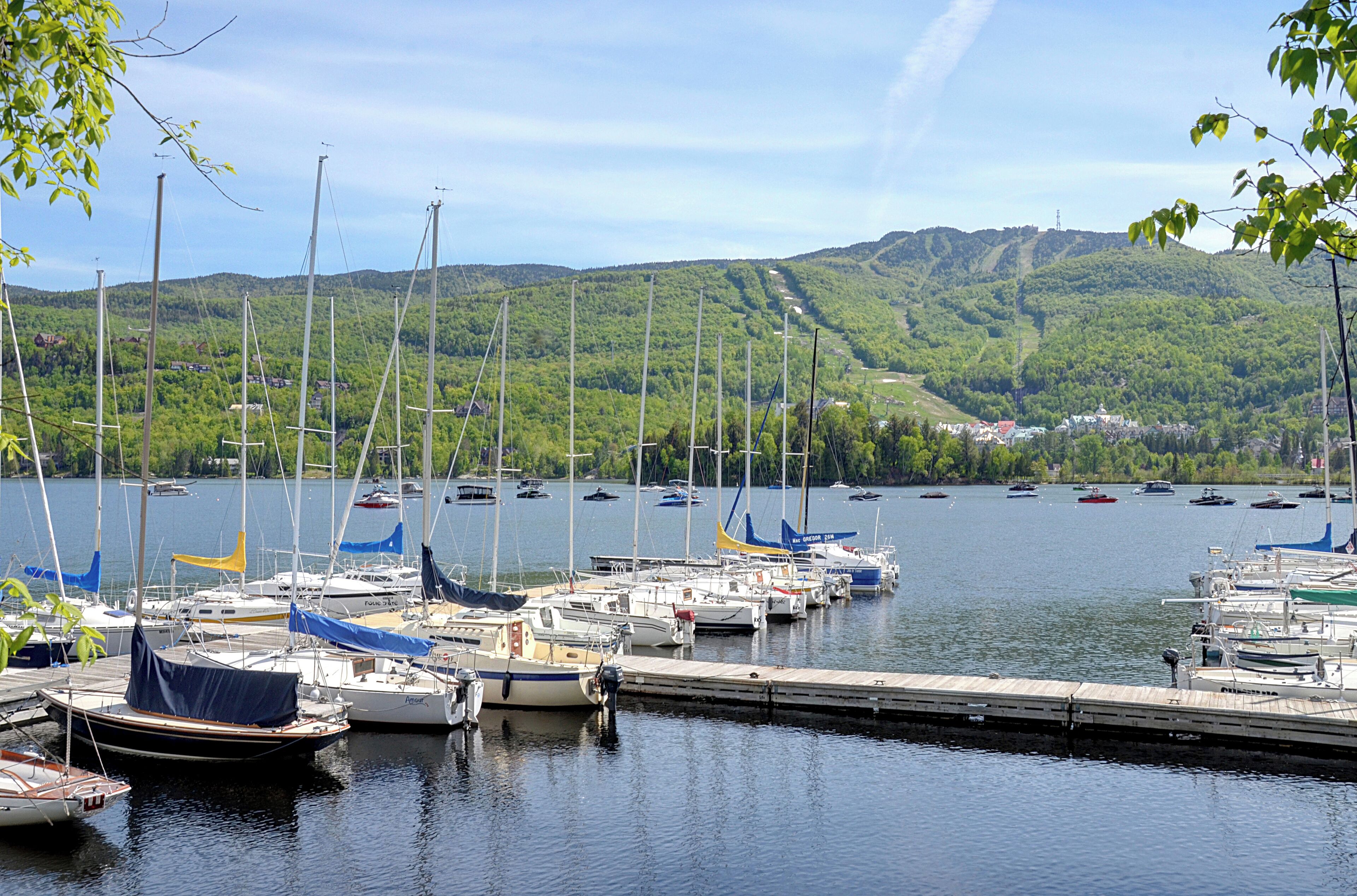 A marina with multiple boats docked, surrounded by lush green hills and a clear sky.