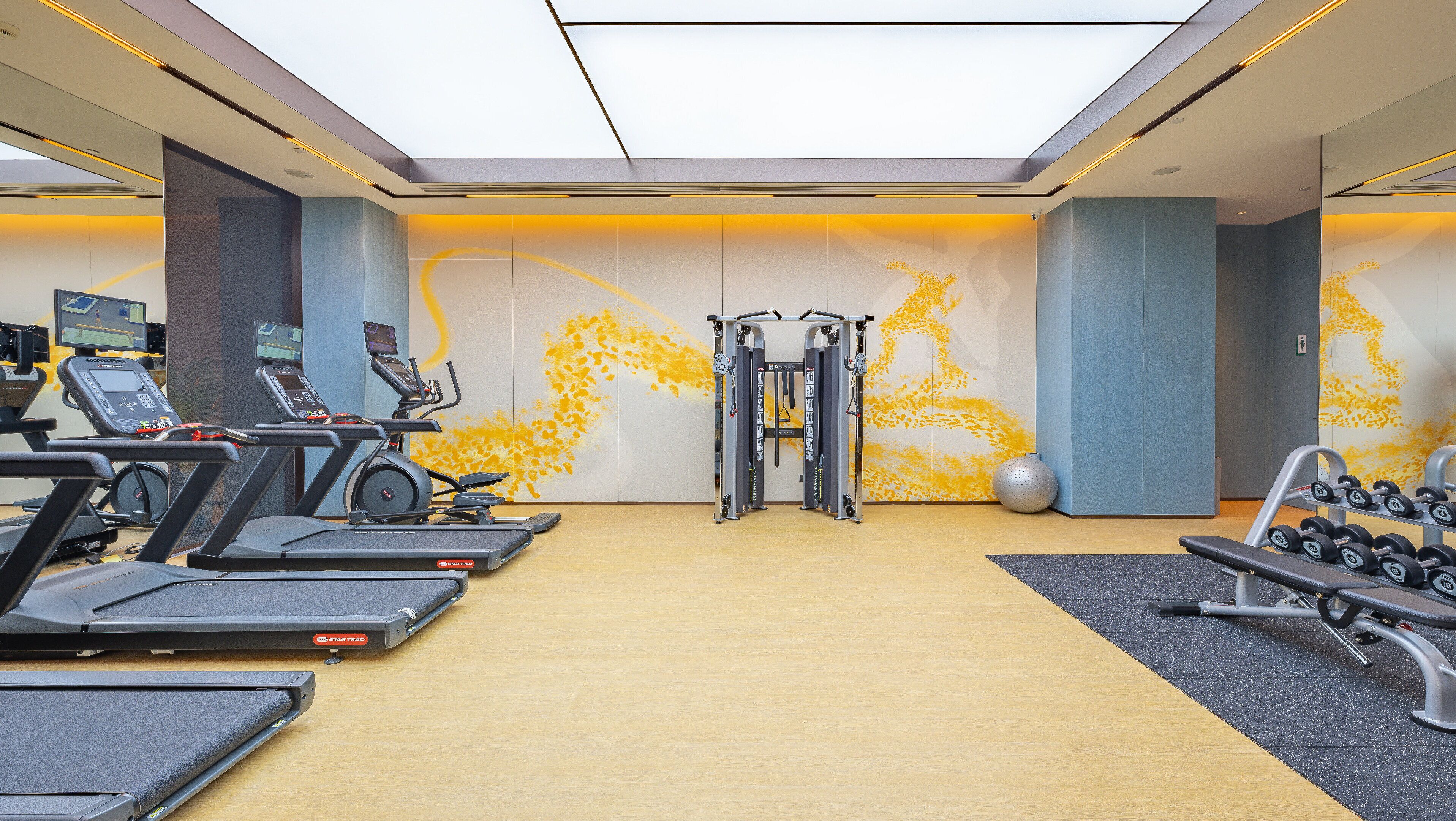 A gym with treadmills, elliptical machines, a weight bench, and a squat rack.