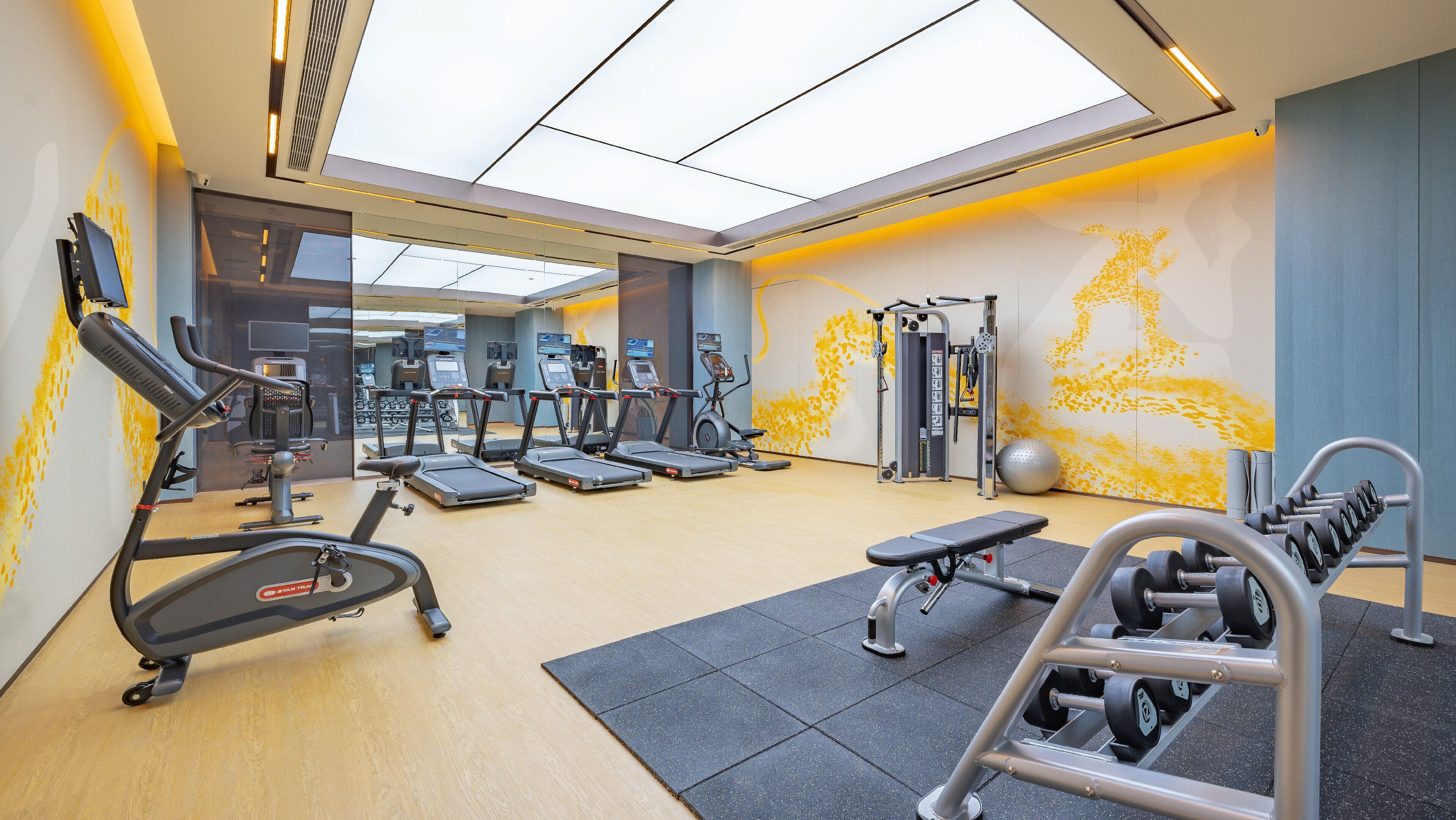 A modern gym with treadmills, elliptical machines, and free weights.
