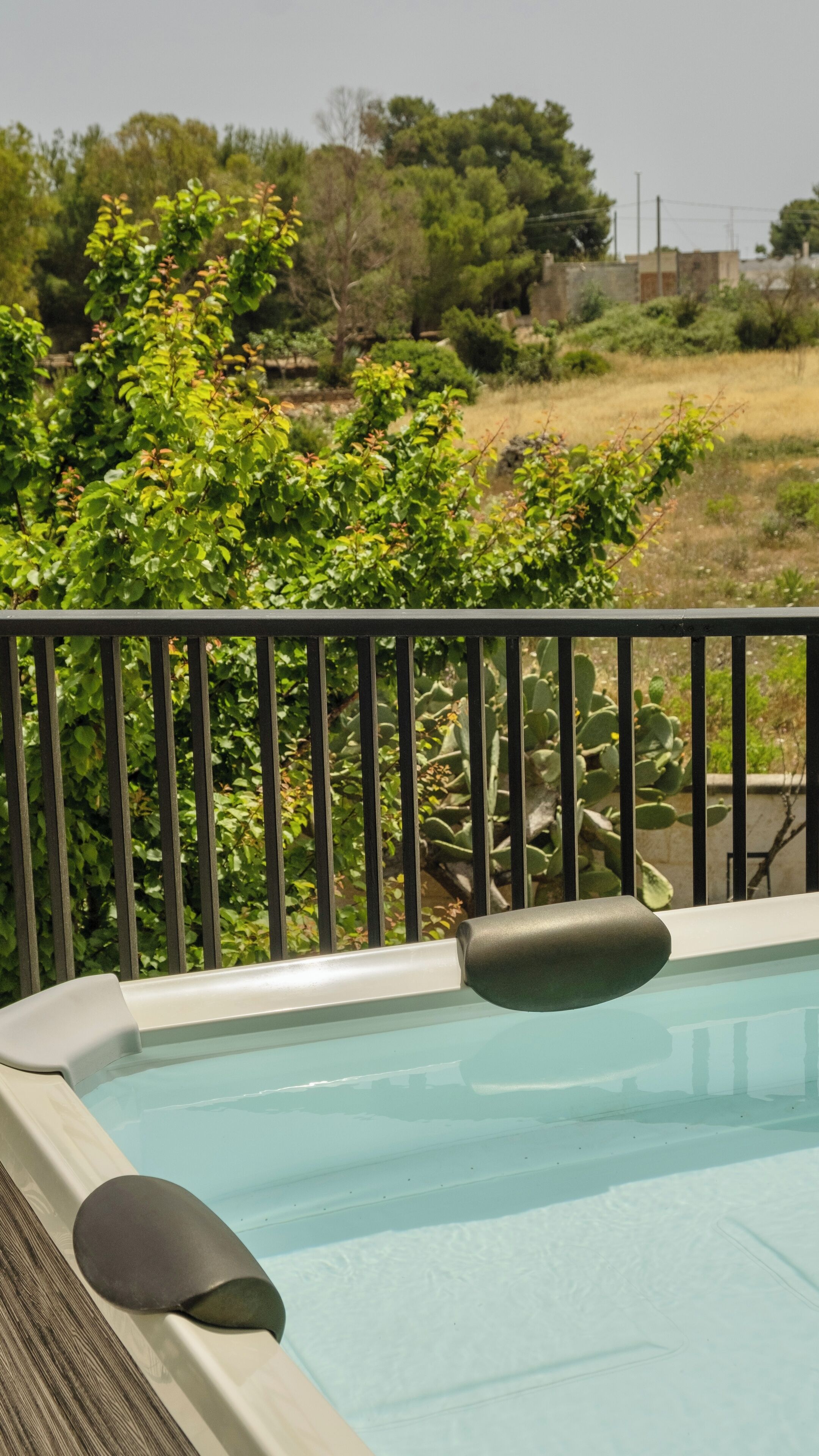 A swimming pool with a black metal railing, surrounded by greenery and trees.