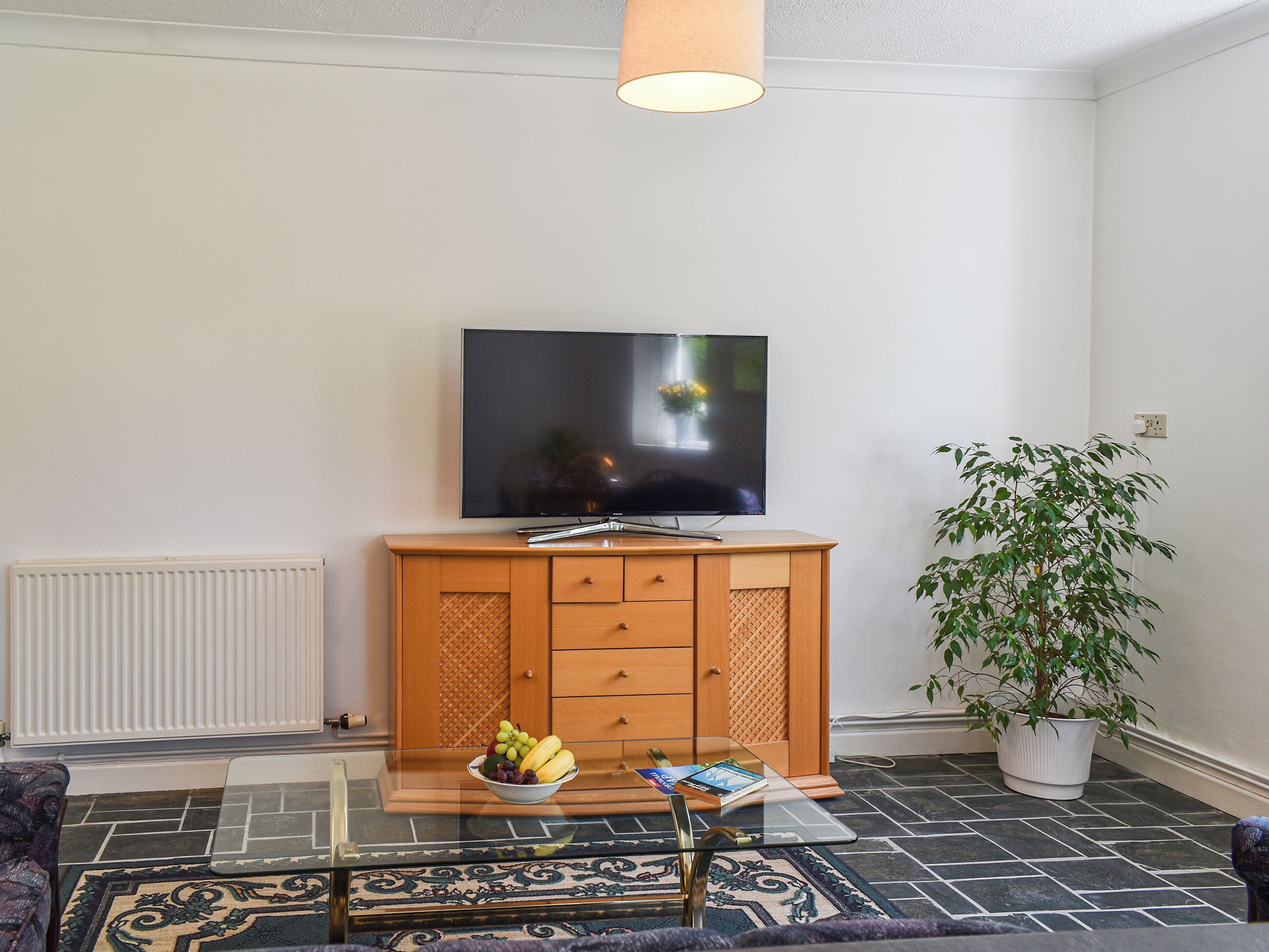A living room with a flat-screen TV on a wooden cabinet, a glass coffee table with a fruit bowl, a potted plant, and a patterned rug.