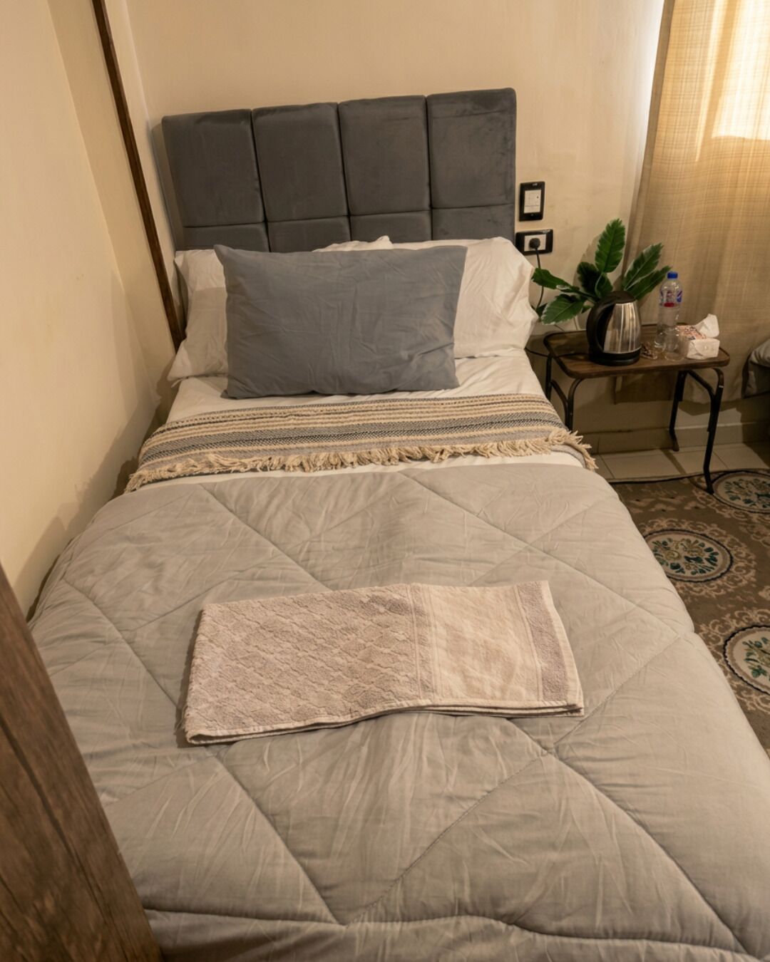 Una cama con cabecera acolchada, una mesita de noche con una planta y una alfombra estampada.