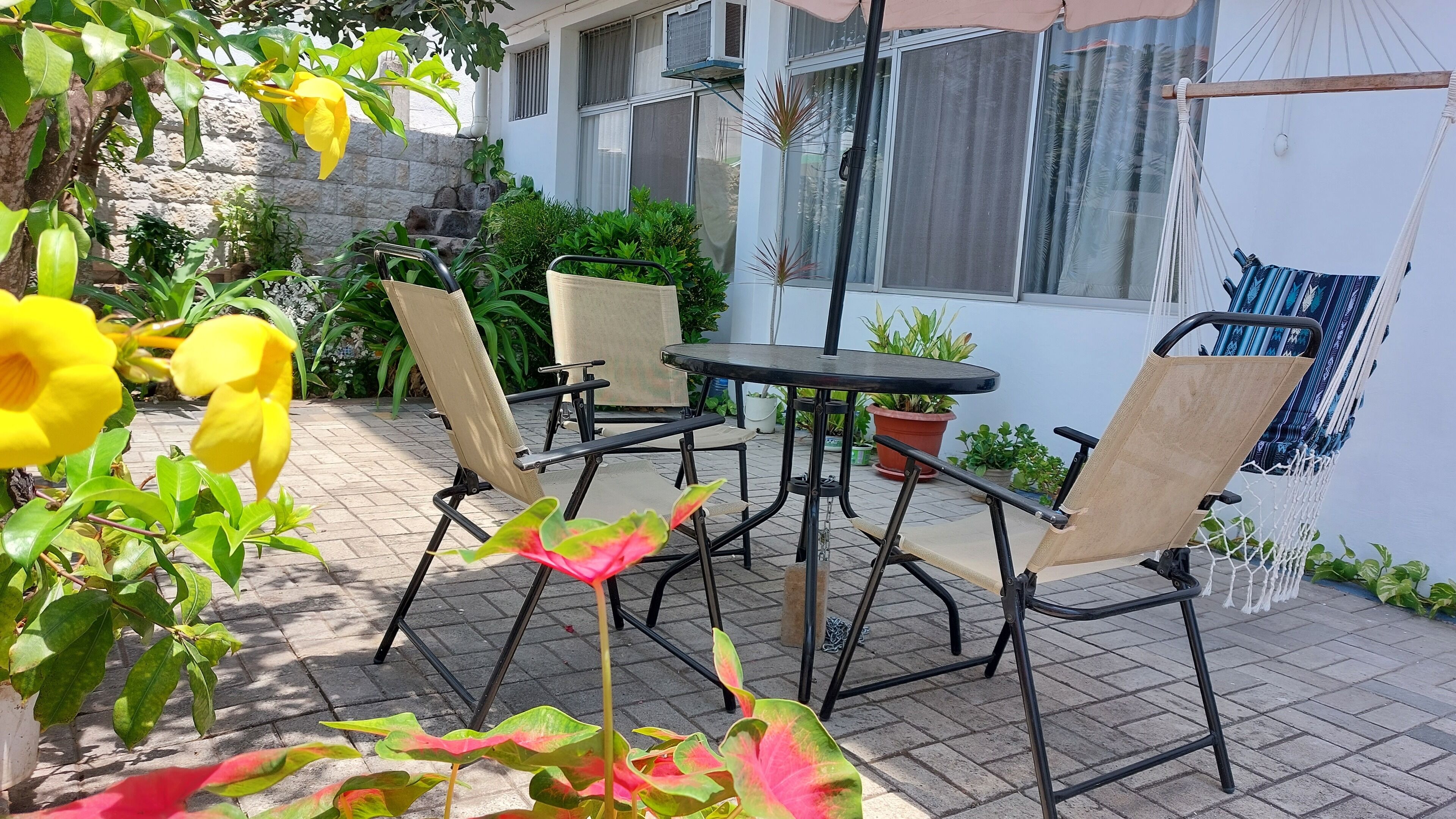 Une terrasse avec une table et des chaises, entourée de plantes en pot et agrémentée d’un hamac.