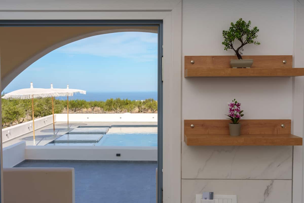 A modern room with a glass door leading to a pool area, wooden shelves with a bonsai tree and flowers, and a clear view of the ocean.