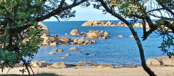 Contemporary house on fully enclosed garden