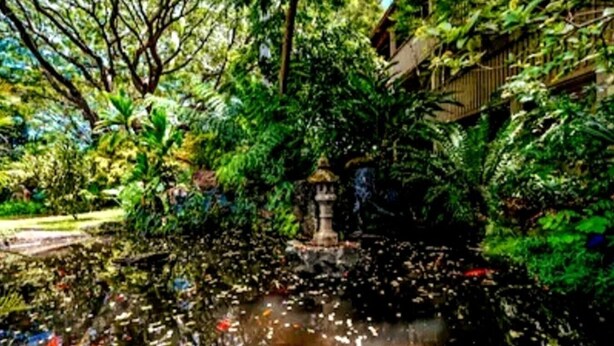 A garden with a pond, a gazebo, and dense foliage.